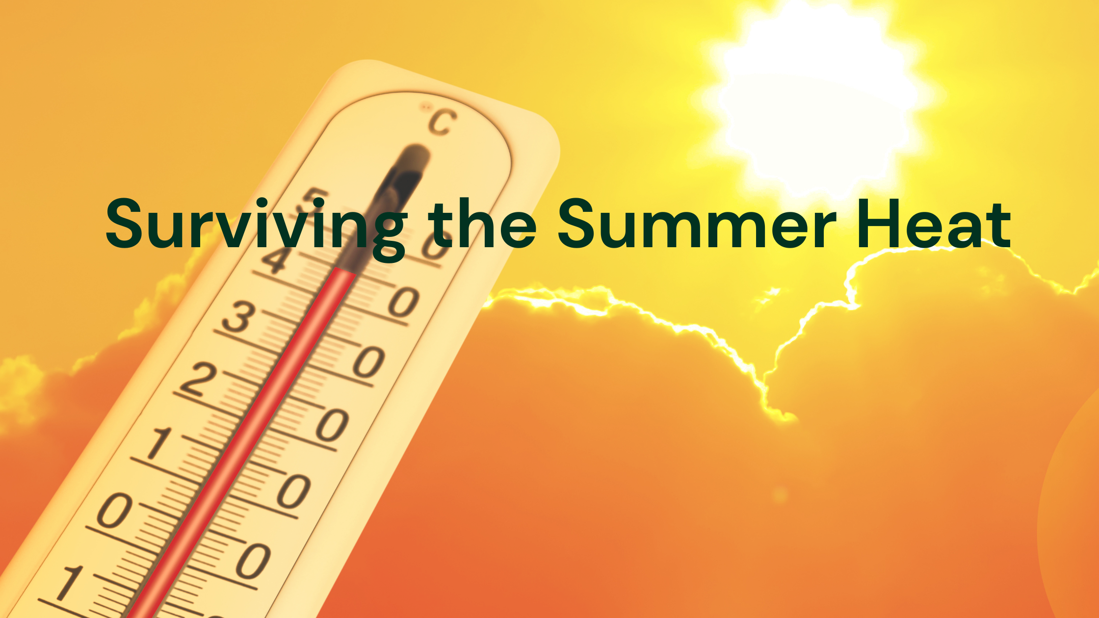 Surviving the Summer Heat: Sleep, Sweat, and Extra Wakes